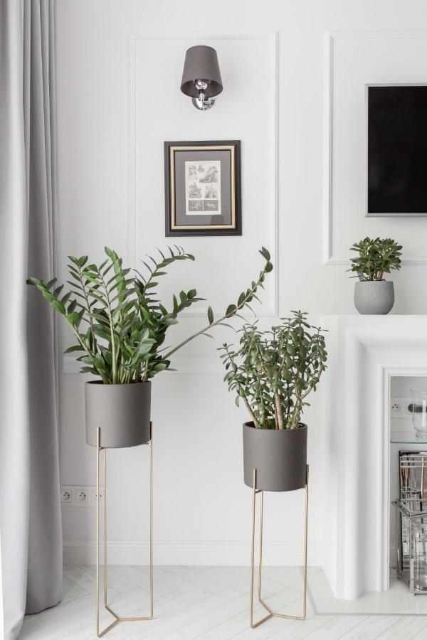 Luksusowy Apartament Hercena7 W Sercu Miasta วรอตซวาฟ ภายนอก รูปภาพ